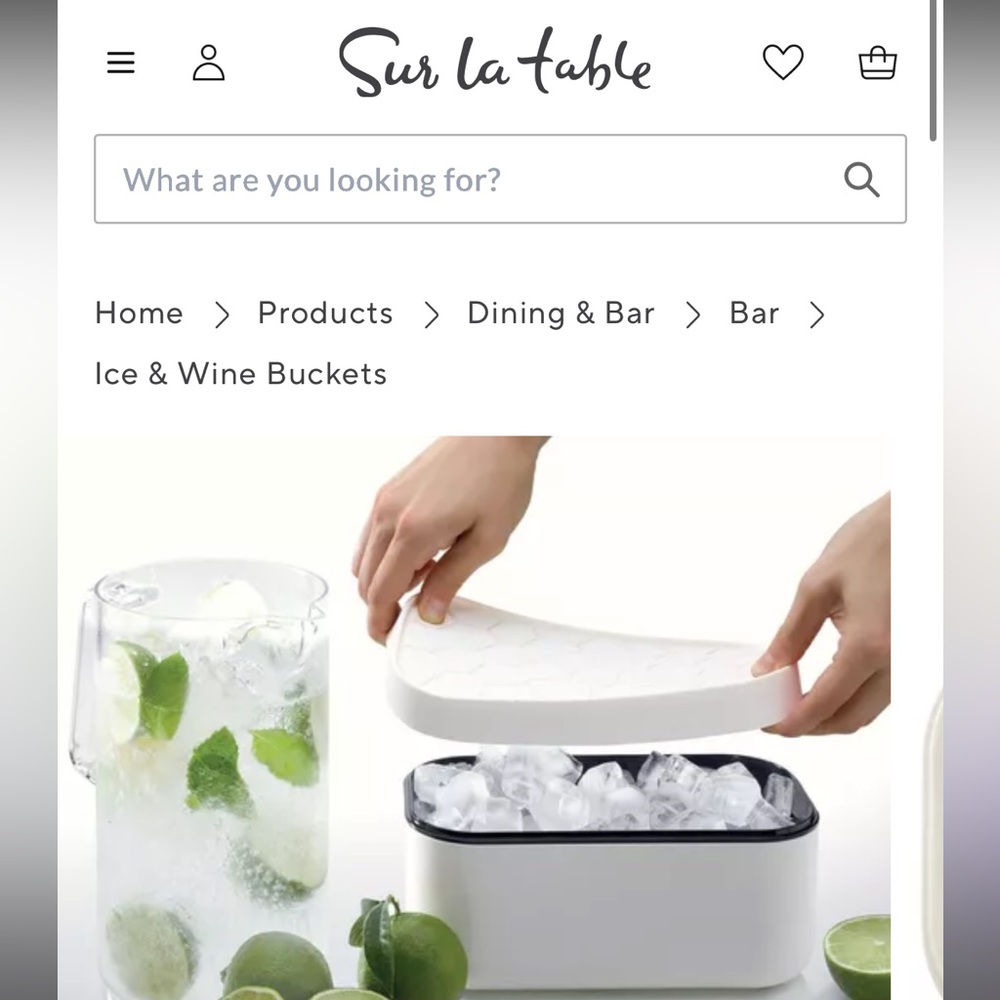 Sur La Table Lekue Ice Cube Bucket with Tray Lid